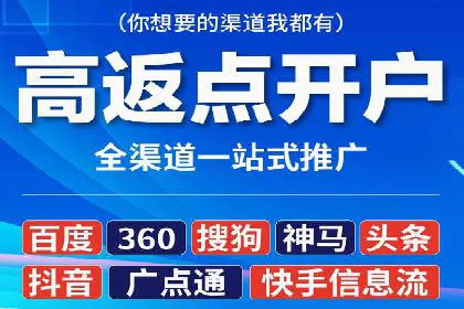 百度竞价广告投放成功案例解析